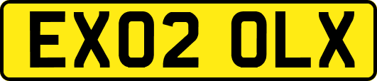 EX02OLX