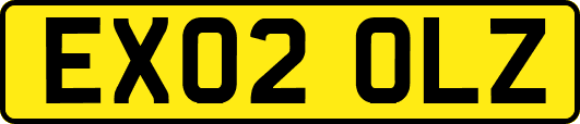 EX02OLZ