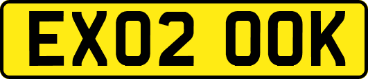 EX02OOK