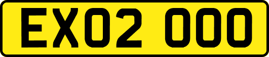 EX02OOO