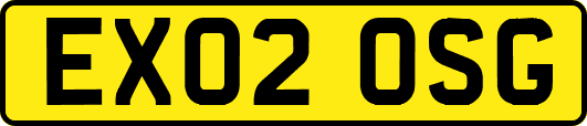 EX02OSG