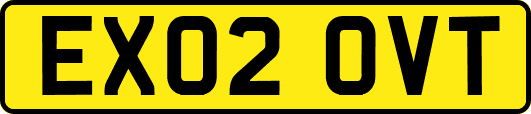EX02OVT