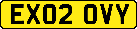 EX02OVY