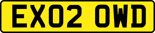 EX02OWD