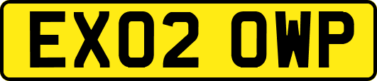 EX02OWP