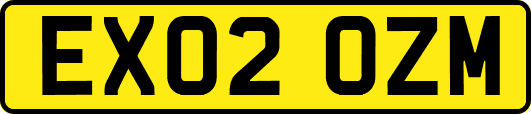 EX02OZM