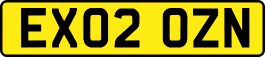 EX02OZN