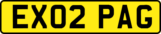 EX02PAG