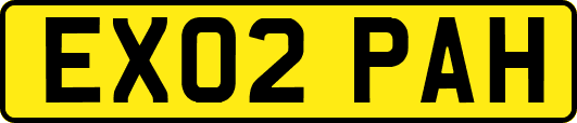EX02PAH
