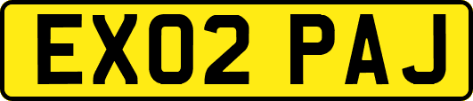 EX02PAJ