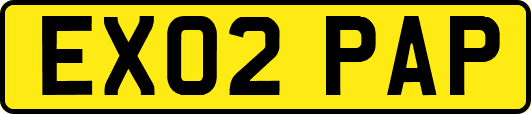 EX02PAP