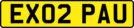 EX02PAU