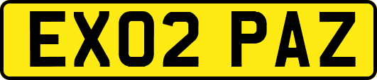 EX02PAZ