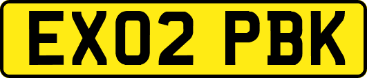 EX02PBK