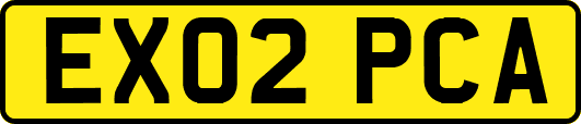 EX02PCA