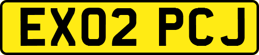 EX02PCJ