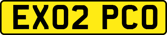 EX02PCO