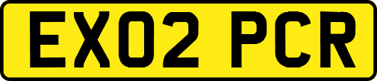 EX02PCR
