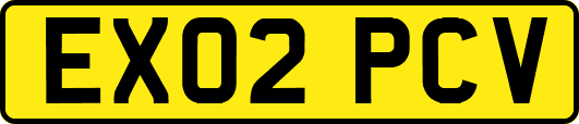 EX02PCV