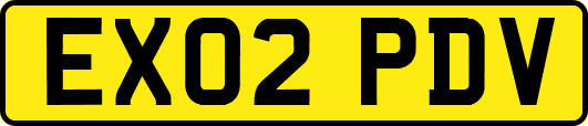 EX02PDV