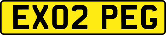EX02PEG