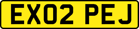 EX02PEJ