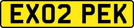 EX02PEK