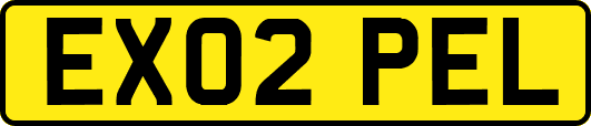 EX02PEL