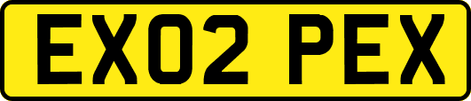 EX02PEX