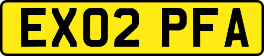 EX02PFA