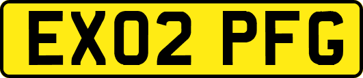 EX02PFG