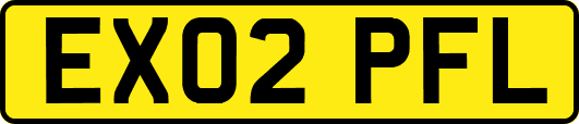 EX02PFL