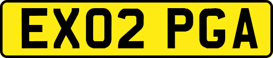 EX02PGA