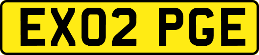 EX02PGE