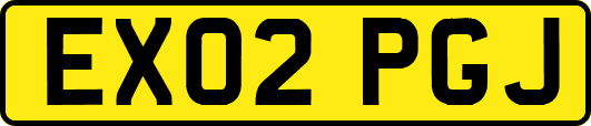 EX02PGJ