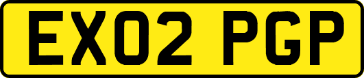 EX02PGP