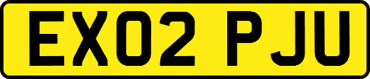 EX02PJU