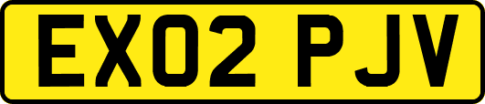 EX02PJV