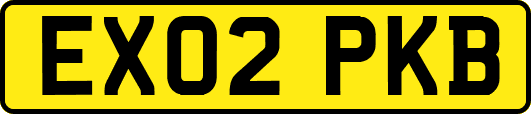 EX02PKB
