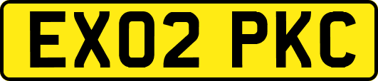 EX02PKC