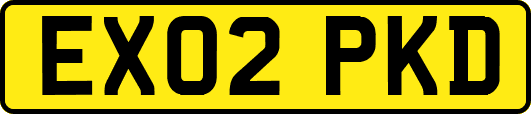 EX02PKD