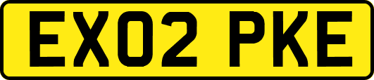 EX02PKE