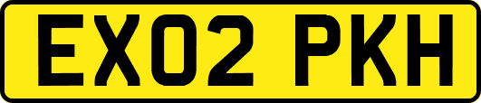 EX02PKH