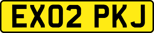 EX02PKJ