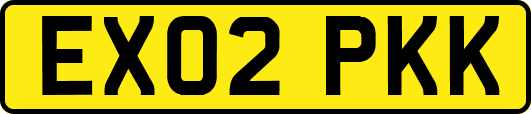 EX02PKK
