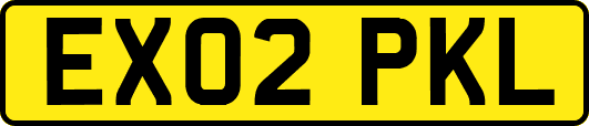 EX02PKL