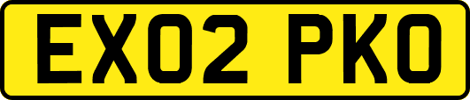 EX02PKO