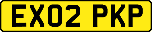 EX02PKP
