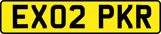 EX02PKR