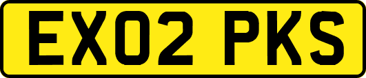 EX02PKS